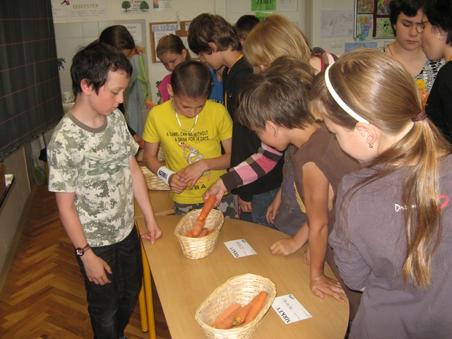 uvod_nakup_zeleniny_1